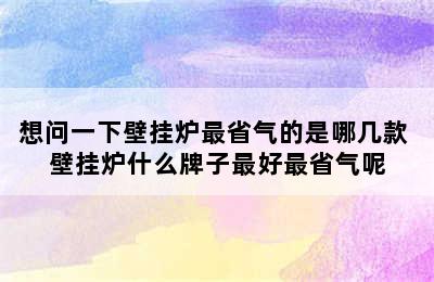 想问一下壁挂炉最省气的是哪几款 壁挂炉什么牌子最好最省气呢